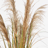 Bimë dekorative në vazo Bulrush Inart D65x120cm