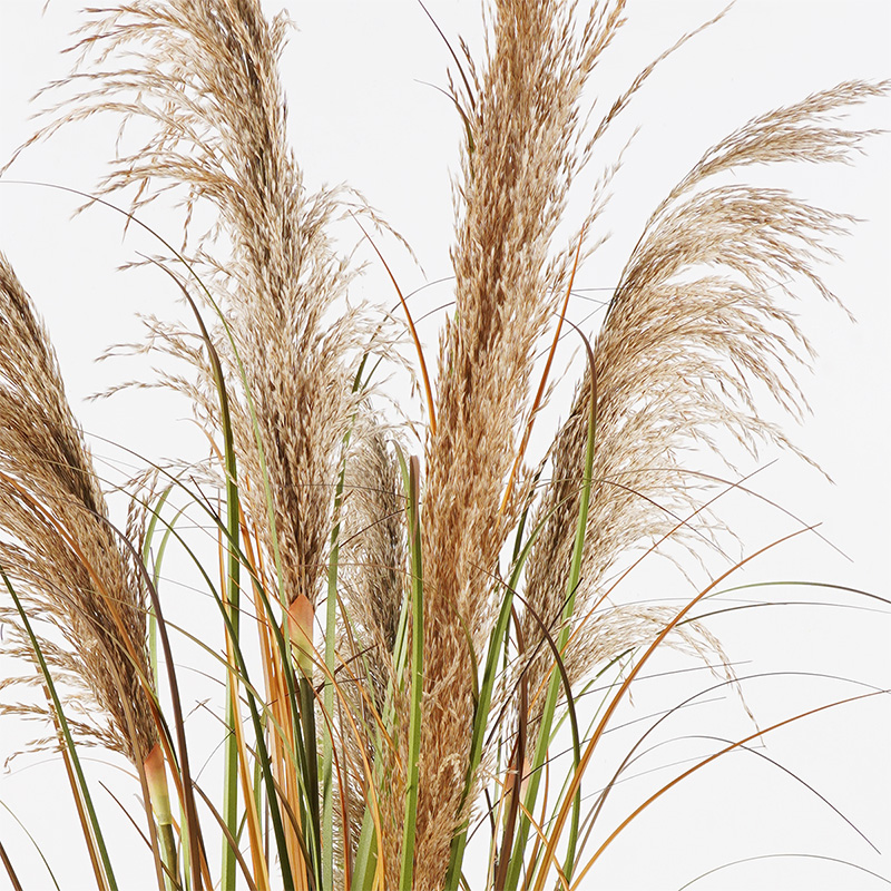 Bimë dekorative në vazo Bulrush Inart D65x120cm