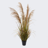 Bimë dekorative në vazo Bulrush Inart D65x120cm