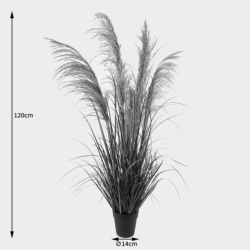 Bimë dekorative në vazo Bulrush Inart D65x120cm