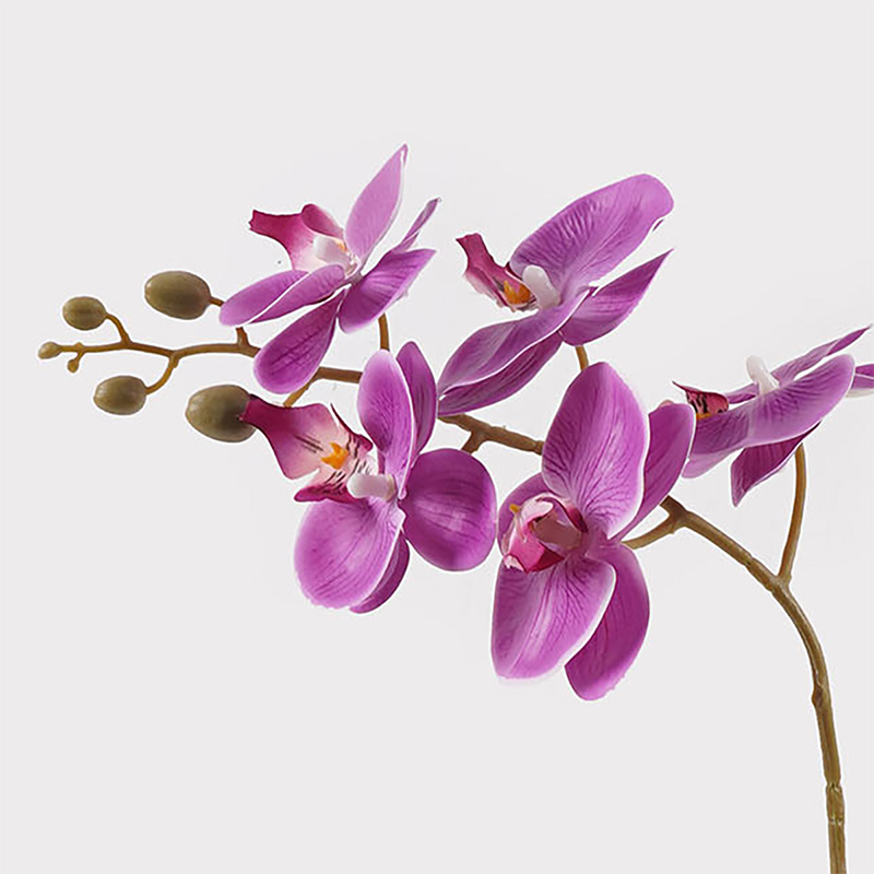 Bimë dekorative në vazo Orchid Beauty Inart 30x13x46cm