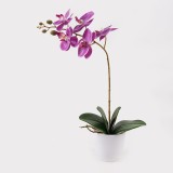 Bimë dekorative në vazo Orchid Beauty Inart 30x13x46cm
