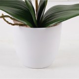 Bimë dekorative në vazo Orchid Beauty Inart 30x13x46cm