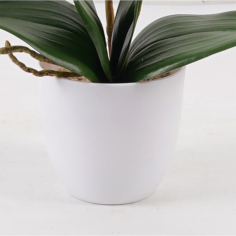 Bimë dekorative në vazo Orchid Beauty Inart 30x13x46cm