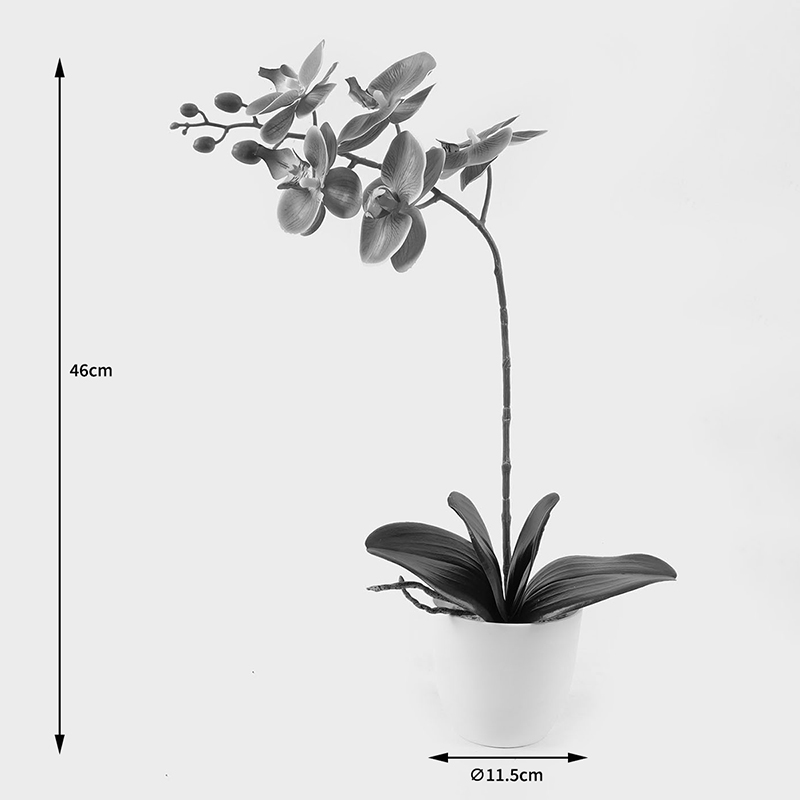 Bimë dekorative në vazo Orchid Beauty Inart 30x13x46cm