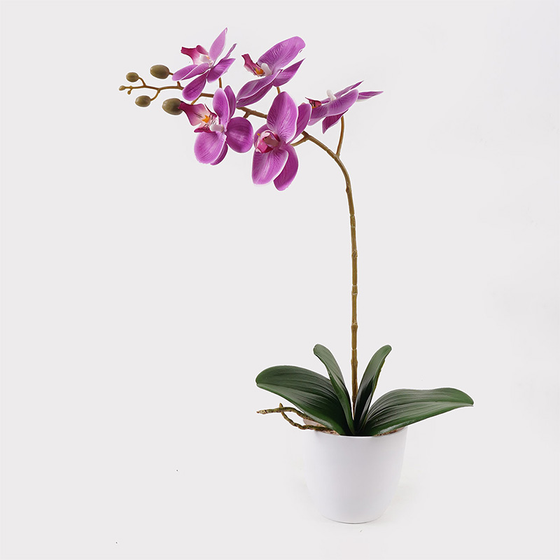 Bimë dekorative në vazo Orchid Beauty Inart 30x13x46cm