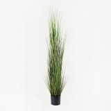 Bimë dekorative në vazo Boxwood Inart jeshile D46x150cm