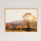 Art muri në kornizë Vila pakoworld me print dixhital 48x1.5x33cm