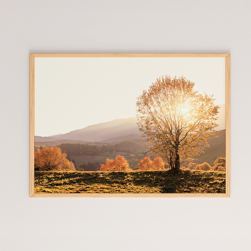 Art muri në kornizë Vila pakoworld me print dixhital 48x1.5x33cm