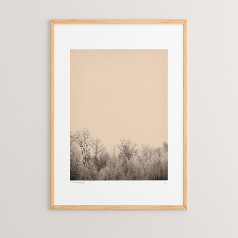 Art muri në kornizë Quany pakoworld me print dixhital 33x1.5x48cm